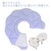 WZ PET Soft Elizabethan Collar for Dogs and Cats, Post-surgery