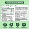 Bloom Greens Original Con Fibra Y Probióticos 25 Porciones