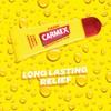 Carmex Lip Balm Tube by Carmex