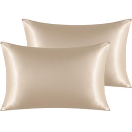 NTBAY 2 Pack Satin Queen Pillowcases for Hair and Skin, Luxurious and Silky Pillow Cases with Envelope Closure, 20x30 Inches, Taupe