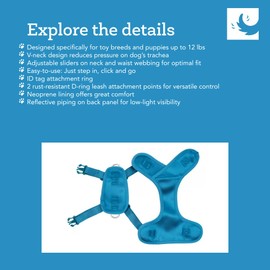 RC Pets Comfortable, Secure, Stylish Petite Explorer Harness | Petite-XX-Small, Jurassic Pack (XXS, Houndstooth)