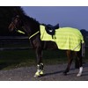 Busse Everline Reflection Blanket
