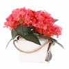 Red Geranium Barrel Wreath Front Door Red Geranium Basket Wreath