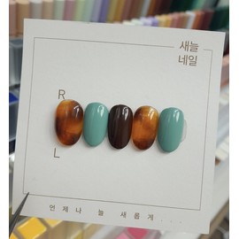 Mint Pumpkin Nail - None / 민트 호박네일 - 없음