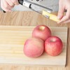 Asdirne Apple Corer, Apple Corer Remover with ABS Handle and