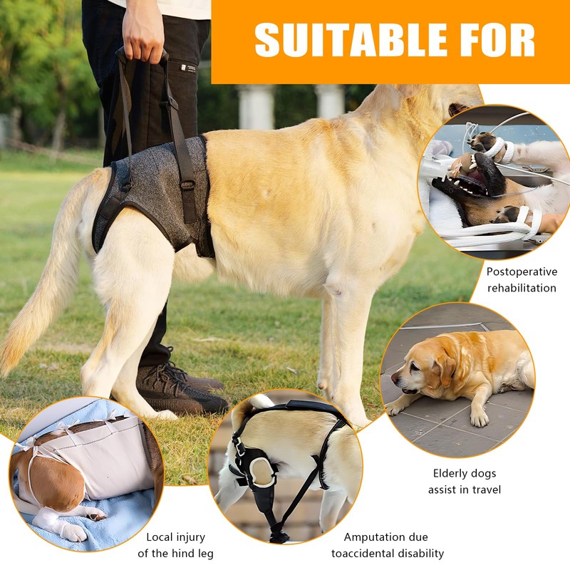 GMHLLES Dog Lifting Harness Leg Support, Adjustable Dog Leg Support,