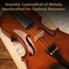 Acoustic Violin 4/4 Full Size Set,Beginner Violin for Adults Students