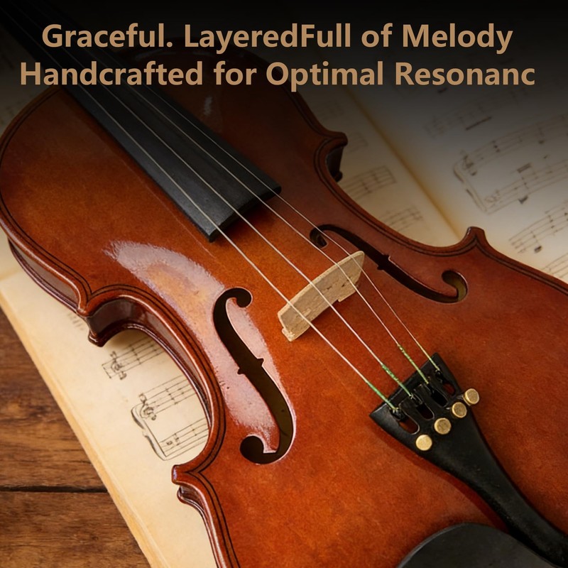 Acoustic Violin 4/4 Full Size Set,Beginner Violin for Adults Students