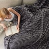 Bedsure Bedsure Grey California King Size Blanket for Bed -