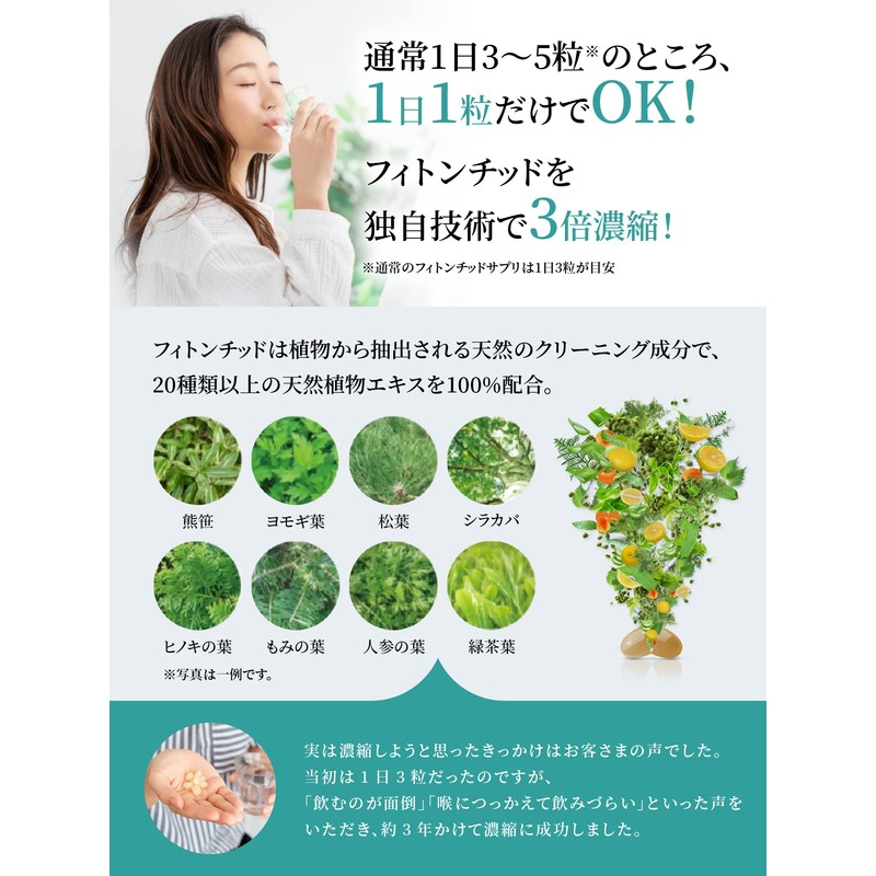 【 臭ピタッ！ ライト エチケットサプリ 62粒 （62日分）】 フィトンチッド サプリ サプリメント 2袋