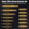 TOPEC Small Screw Extractor Set, 13 PCS Stripped Screw Removal