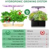 Ceouheia Hydroponics Growing System 12Pods, Indoor Herb Garden with LED
