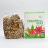 CINQUEFOIL HERB TEA, (COMARUM PALUSTRE L) | Original Herbs Herbal