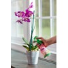 Scotts Ready-To-Use Orchid Plant Food Mist, 8 oz., Orchid Food