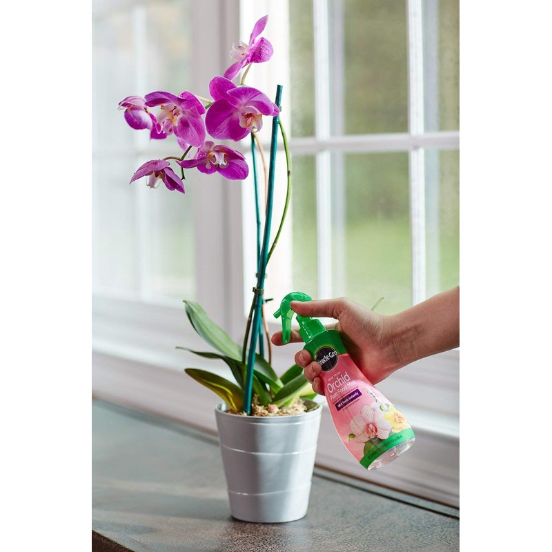 Scotts Ready-To-Use Orchid Plant Food Mist, 8 oz., Orchid Food