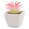 6PCS Potted Artificial Succulents Artificial Plants in Pots Plastic Fake