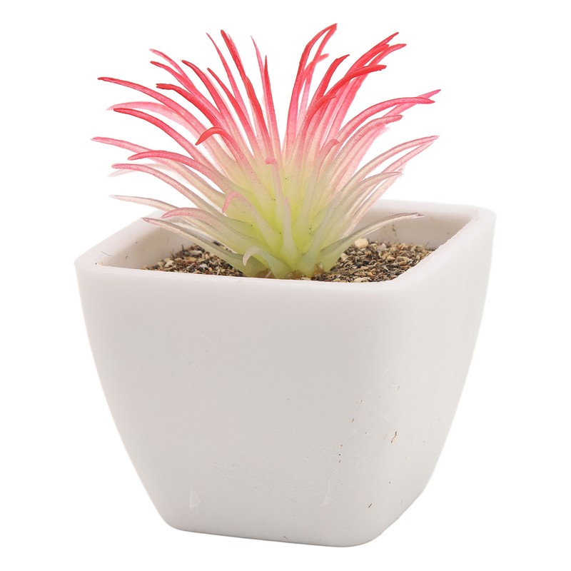 6PCS Potted Artificial Succulents Artificial Plants in Pots Plastic Fake