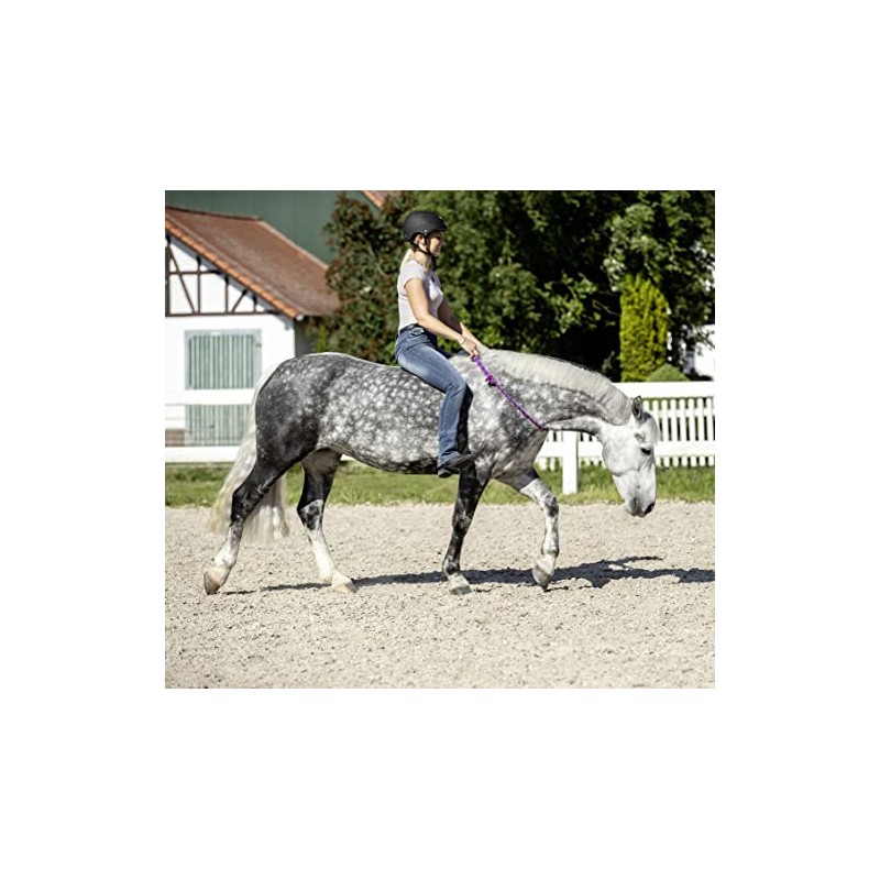 USG 15200002 Neck Ring Round and Adjustable Royal Blue/Black