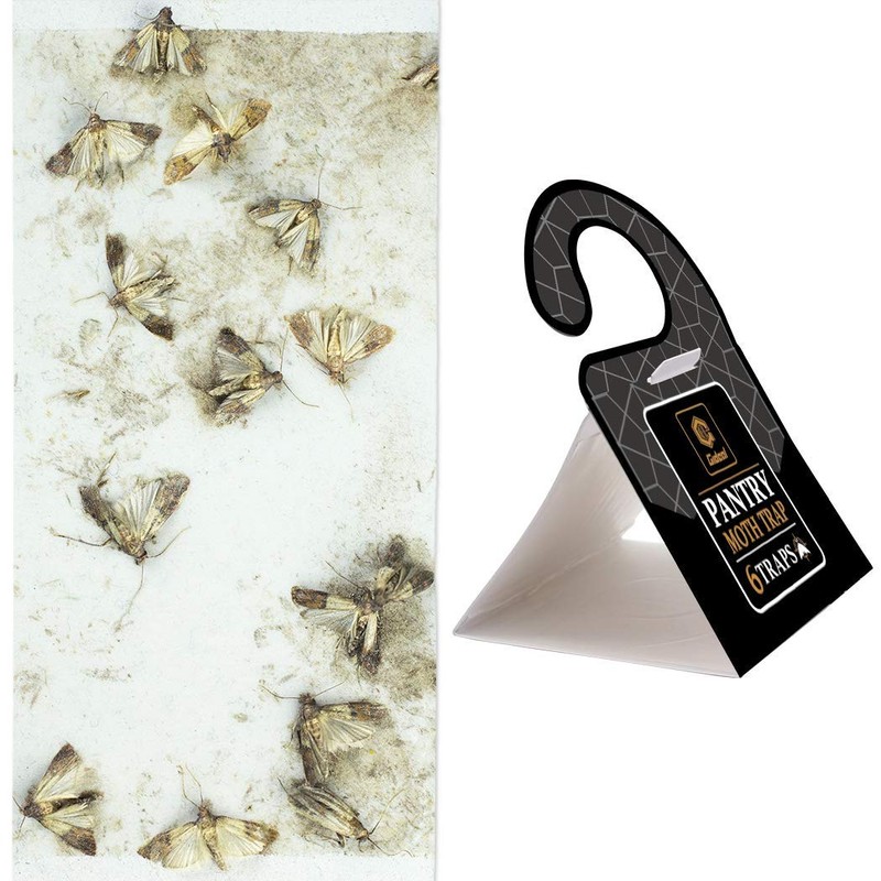 GIDEAL Pantry Moth Trap with Pheromones Prime for House Kitchen