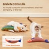 Cat Toys Saury Fish, 3-Pack Catnip Crinkle Sound Toys Soft