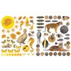Eyelike Stickers: Animals