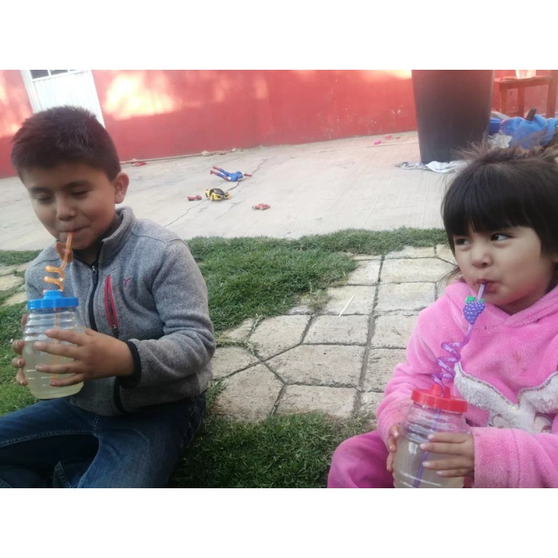 Mini Vitrolero De Plastico De 500ml Con Popote Espiral 12pzs