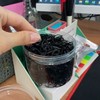 머리끈 머리 줄 검정 고무 끈 밴드 대용량머리 (WFIZU4D) Black Rubber Hair Tie Band Large Capacity Hair Band (WFIZU4D)