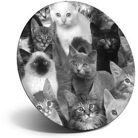 Destination Vinyl ltd Magnet for Refrigerator, Fridge BW - Cute Cat Collage Kitten Cats for Office, Cabinet and Whiteboard, Magnetic Stickers, 41628