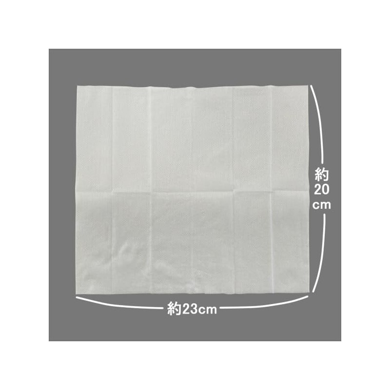 addgood Cleshmen Alcohol-Free Menthol Free Body Sheet, Set of 2