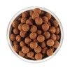Insanjukyeom 유황 밭마늘환 [250g] Sulfur Field Garlic Pill [250g]