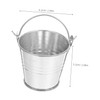 Mipcase 8Pcs Mini Tinplate Bucket Silver Flower Pot for Home