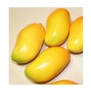 Gucra Realistic Fruit Set Mango Pack of 5 Food Sample