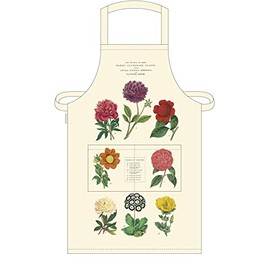 Cavallini & Co. Tea Towel, Cotton, Multi, 19 x 31.75, (48cm x 80cm)