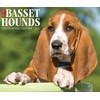 Willow Creek Press Basset Hounds Daily 2025 Box/Desk Calendar (5.86"