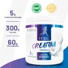 Fit Soul Creatina Monohidratada de Alta Pureza en Polvo Sin