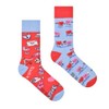 Spox Sox Casual Unisex Funny Crazy Colourful Socks for Men