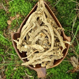 Eternity in a Box Silene Capensis AFRICAN DREAM HERB *Wild Harvested* 3.5 grams