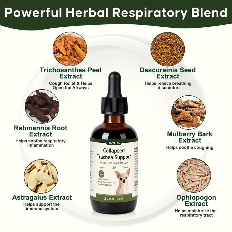 Trachea Cough Elixir, Collapsed Trachea Support for Dogs, Tracheal &