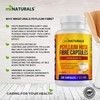 MINATURALS Psyllium Husk Fiber Capsules Supplement, Natural, Supports Digestive Health,