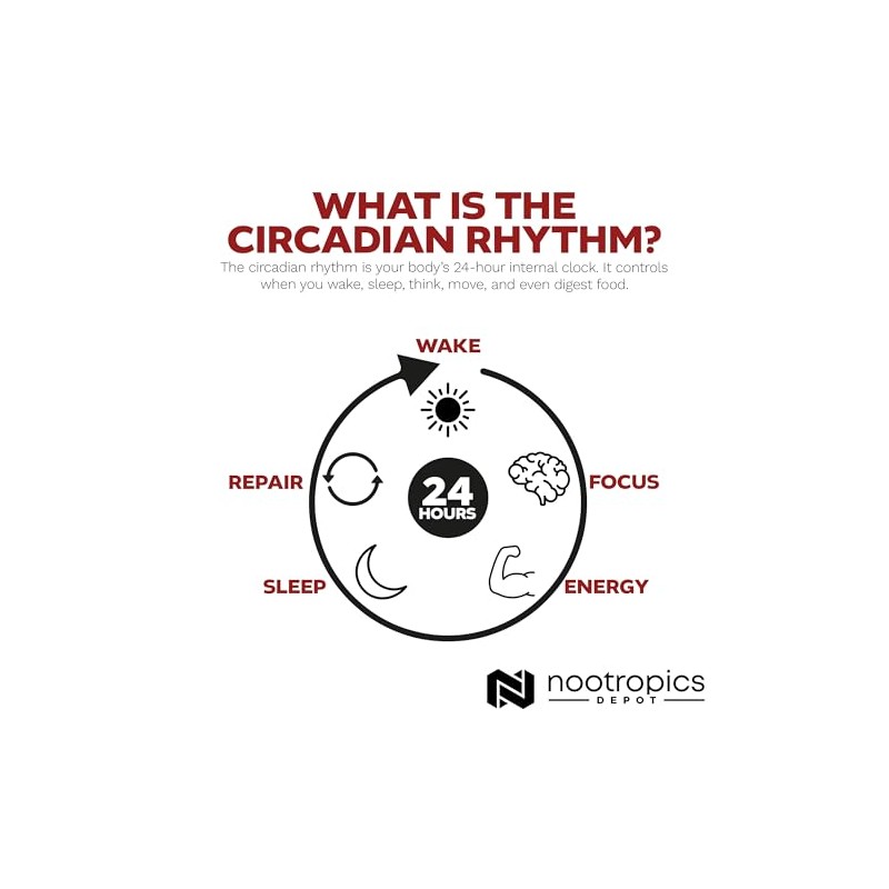 Nootropics Depot- Cápsulas de Nobiletina 250mg 30 Recuento 20 Extracto