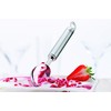 Rosle 20.5 cm Ice Cream Scoop