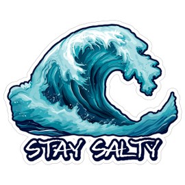 Stay Salty Sticker 4 Inch Beach Life Sarcastic - Waterproof Vinyl Decal for Laptop Water Bottle Car Tumbler - Durable Funny Aesthetic Long-Lasting Stickers for Adults ID44990