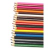 Arpan 24 Colouring Pencils Full Size Assorted Colours Supplied x