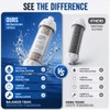 Condensate Neutralizer Kit, Compatible with Rinnai Tankless Water Heater, Replacement