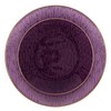 PLASTICPRO 24 Pieces Elegant Plastic Plates for Party Purple with
