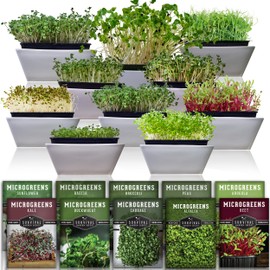 Microgreen Seeds Variety Pack – 10 Heirloom Types for Indoor Sprouting – Broccoli, Pea, Sunflower, Radish, Kale, Arugula & More – High Germination Non-GMO – Survival Garden Seeds (Seed Packs Only)