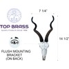 Top Brass 14 1/2" African Kudu Antelope Skull - Wall