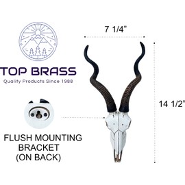 Top Brass 14 1/2" African Kudu Antelope Skull - Wall Mount Head - Rustic Safari Decor