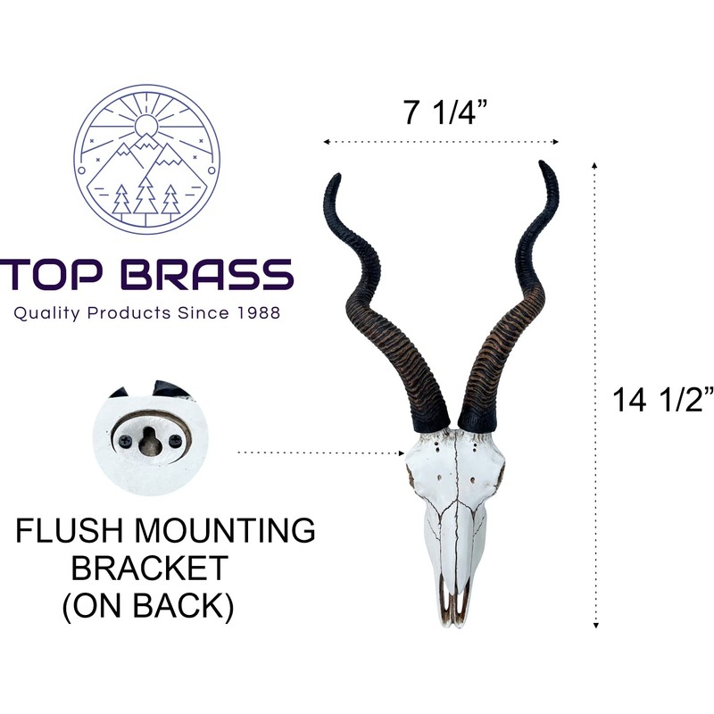 Top Brass 14 1/2" African Kudu Antelope Skull - Wall