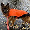 Mile High Life Dog Raincoat, Adjustable Waterproof Reflective Rain Jacket